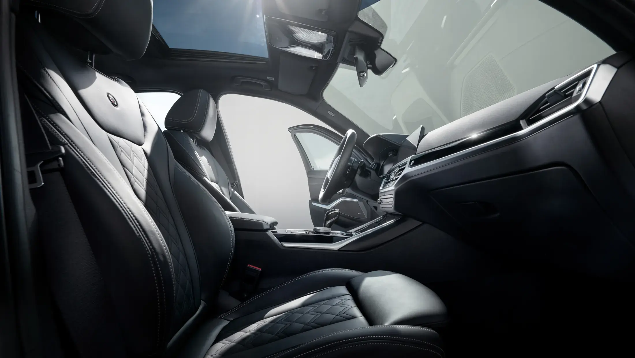 ALPINA D3 S interieur stoelen